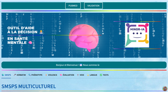 Interface MINOR-IA — collecte et analyse